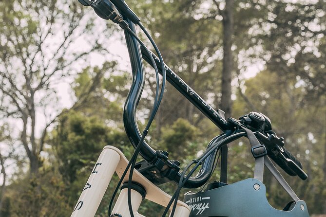 Guided Ebike Tour in Ibiza - Safety Considerations