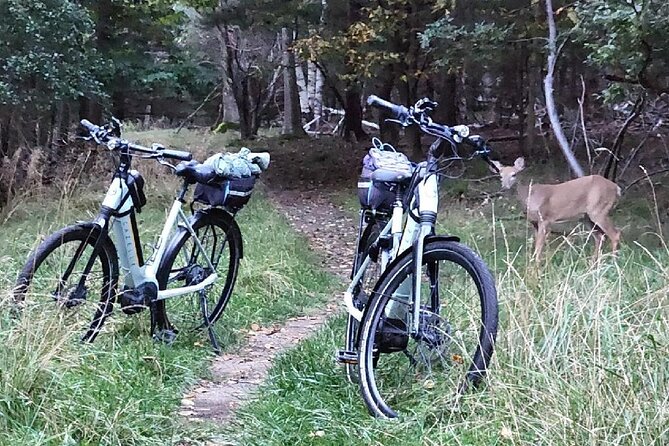 Guided Ebike Tour of Acadia National Park Carriage Roads - Meeting and End Point