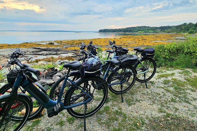 Guided Ebike Tour of Acadia National Park Carriage Roads - Returning to the Starting Point