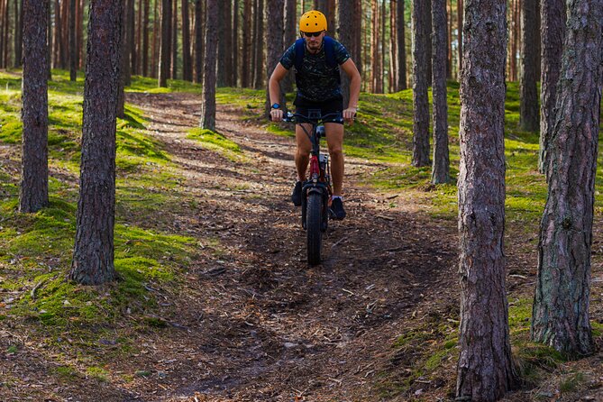 Guided Ebike Tour on Forest Roads and Trails Near Riga - Panoramic Views From Firewatch Tower
