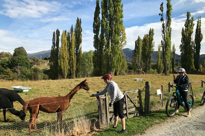 Guided eBike Wine Tour Ride to the Vines - Exploring Queenstown on Two Wheels and Two Glasses