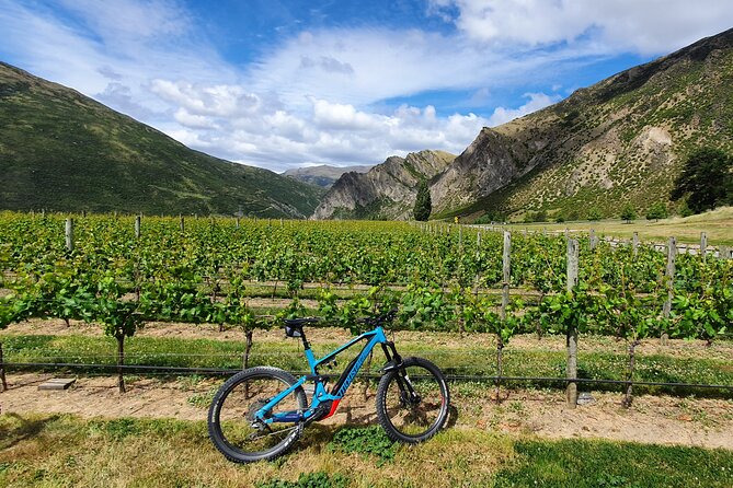 Guided Ebike Wine Tour Ride to the Vines - Guidance and Support