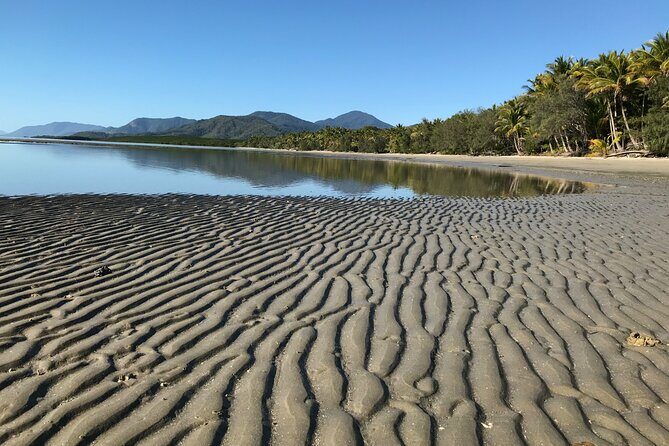 Guided Eco Segway Tours Four Mile Beach Port Douglas - Who Should Consider This Tour?