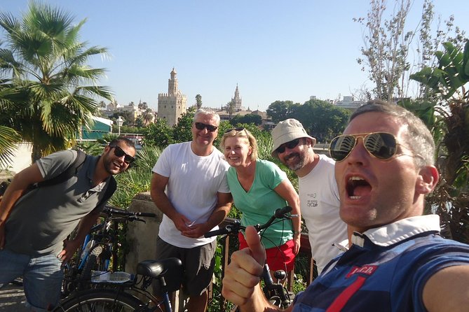 Guided Electric Bike Tour in Seville - Meeting and Accessibility