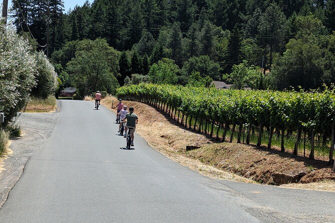 Guided Electric Bike Wine Tour Through Sonoma County - Savoring the Flavors of Local Wineries