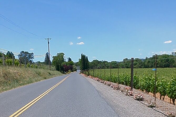 Guided Electric Bike Wine Tour Through Sonoma County - Indulging in a Delectable Lunch