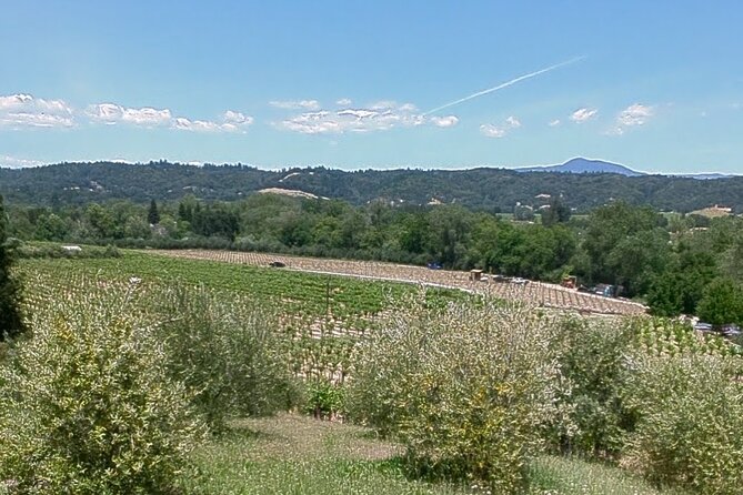 Guided Electric Bike Wine Tour Through Sonoma County - Enjoying the Camaraderie of the Group
