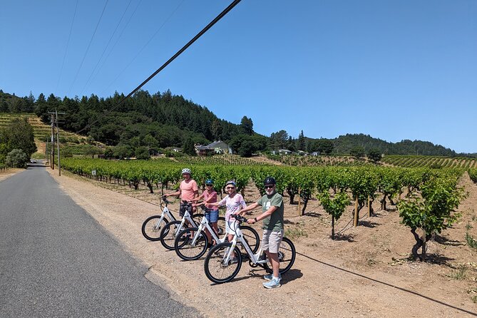 Guided Electric Bike Wine Tour Through Sonoma County - Navigating the Tour With Knowledgeable Guides