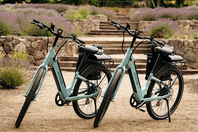 Guided Electric Bike Wine Tour Through Sonoma County - Reflecting on the Unforgettable Experience