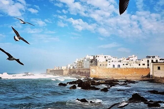Guided Essaouira Day Trip From Agadir & Taghazout - Visiting the Port
