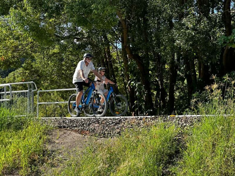 Guided Evening Glow Worm Experience - Byron Bay - Final Thoughts: Who Should Book This Tour?