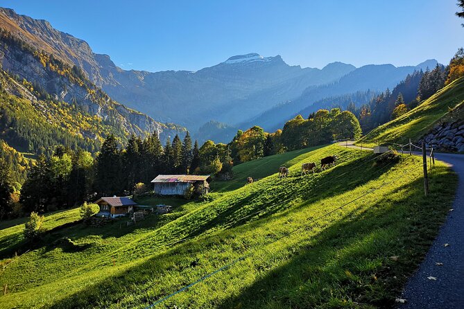 Guided Excursion to Jungfraujoch, Grindelwald and Lauterbrunnen From Lucerne - Exploring Jungfraujoch Attractions