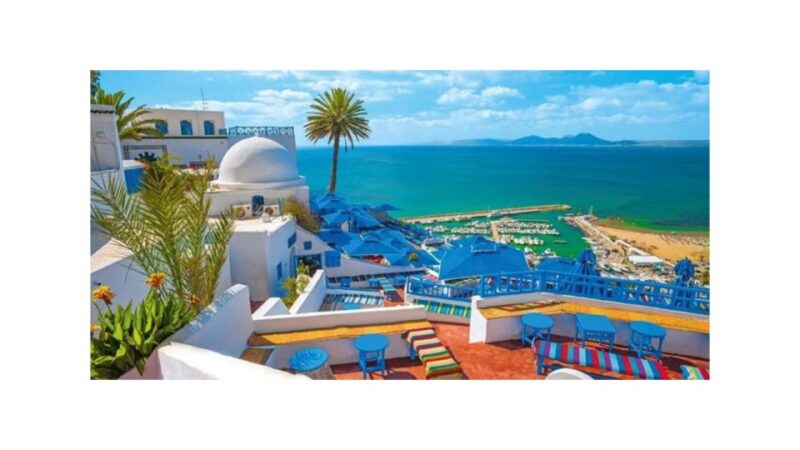 Guided Excursion: Tunis, Carthage and Sidi Bou Said - Key Points
