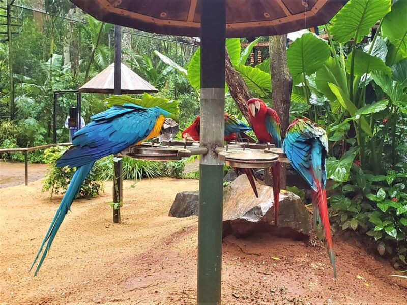 Guided Experience at Parque Das Aves - VIP Tour - Frequently Asked Questions