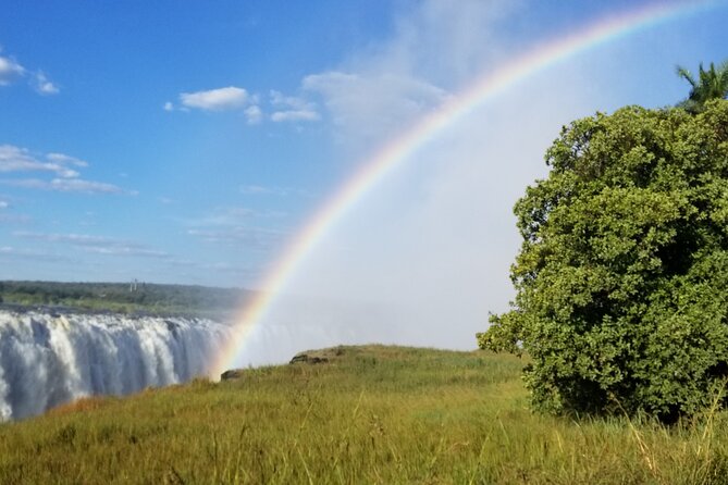 Guided Falls Tour & Zambezi River Cruise Combo - Inclusions