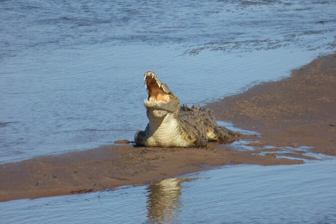 Guided Falls Tour & Zambezi River Cruise Combo - Cancellation Policy