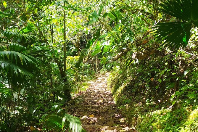 Guided Fauna and Flora Observation Tour, Anton Valley - Key Points