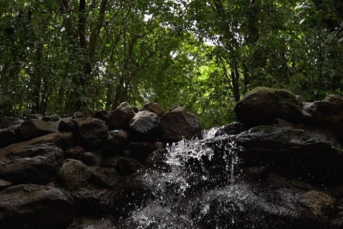 Guided Fauna and Flora Observation Tour, Anton Valley - Meeting Point and Directions