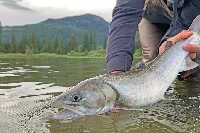 Guided Fishing Adventure in Whistler - Physical Fitness Level