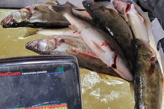 Guided Fishing Adventures in Castle Rock Lake - Meeting and Pickup