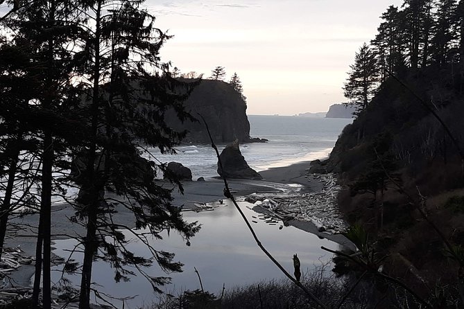 Guided Fishing and Hiking Tours - Customer Reviews