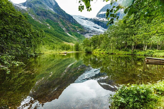 Guided Fjord and Glacier Tour From Voss - Accessibility and Additional Info