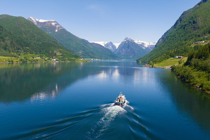 Guided Fjord and Glacier Tours - Balestrand - Wildlife and Nature