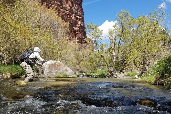 Guided Fly Fishing Experience in Park City - Scenic Rivers and Destinations