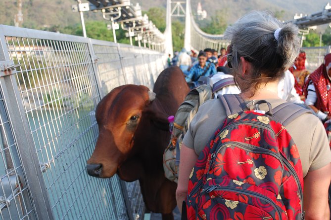 Guided Food Walking Tour in Rishikesh With a Local - Best of Culture & History - A Sensory Journey Through Rishikesh
