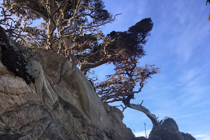 Guided Full-Day Big Sur Hiking Adventure With Lunch - Overview of the Adventure