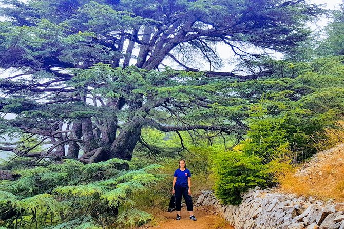 Guided Full-Day Private Trip to Cedars, Baalbek and Chateau Ksara - Visiting Baalbek