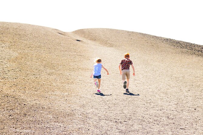 Guided Full-Day Tour to Craters of the Moon National Monument & Preserve - Traveler Feedback