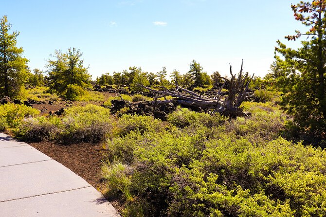 Guided Full-Day Tour to Craters of the Moon National Monument & Preserve - Geology of Craters of the Moon