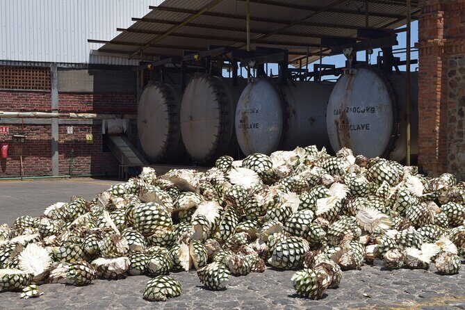 Guided Full Day Tour to Tequila and Cantaritos el Guero - Key Points