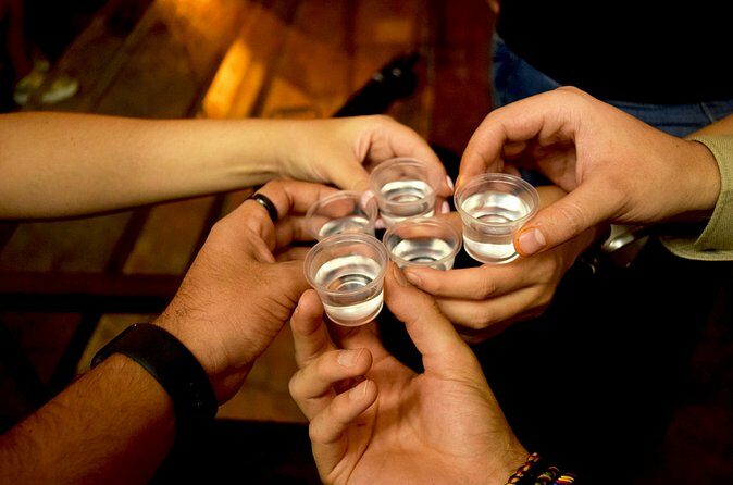 Guided Full Day Tour to Tequila and Cantaritos el Guero - Transportation and Group Size