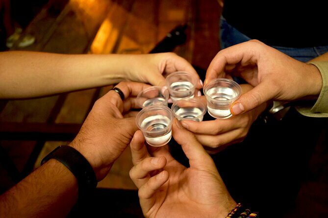 Guided Full Day Tour to Tequila and Cantaritos el Guero - How the Experience Feels