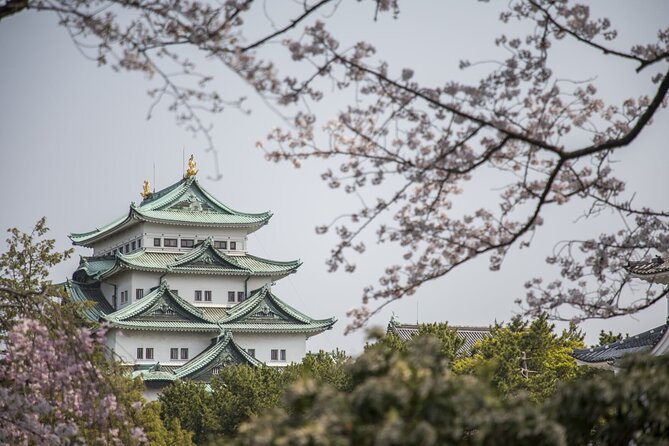 Guided Garden Walk: Nagoya Castle, Gardens & Historic Estate - Nagoya Castle