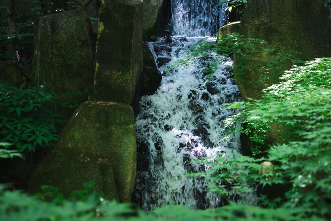 Guided Garden Walk: Nagoya Castle, Gardens & Historic Estate - Lunch and Transportation