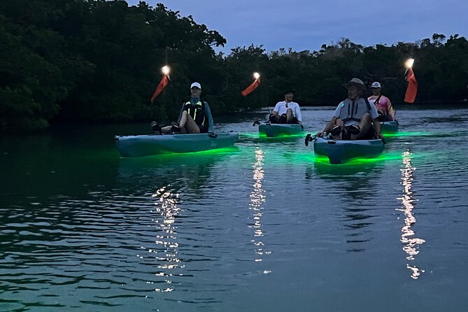 Guided Glow LED Kayak Sunset Activity in Bonita Springs - Inclusions and Group Size