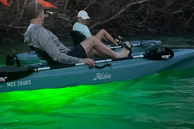 Guided Glow LED Kayak Sunset Activity in Bonita Springs - Participant Requirements and Accessibility