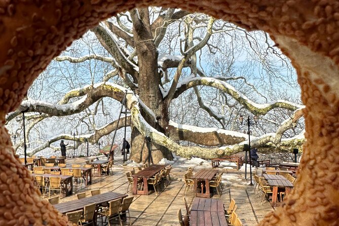 Guided Green Bursa Tour With Cable Car From Istanbul to Uludag - Ski Equipment Rental