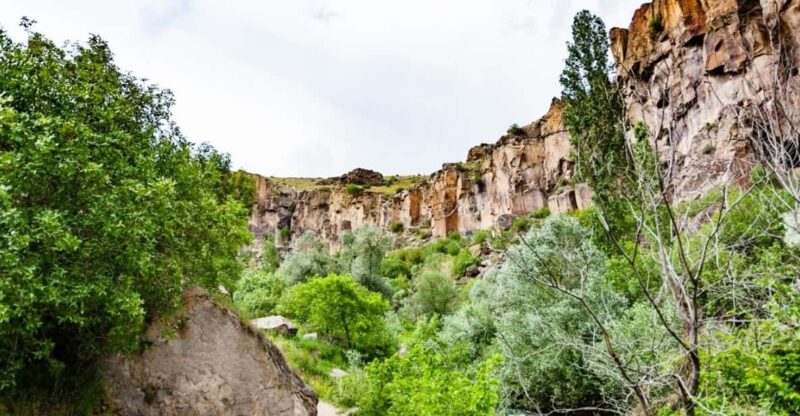 Guided Green Tour With Lunch & Entrance Fees - Key Points