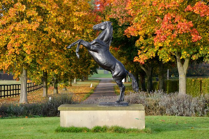 Guided Half Day Behind the Scenes Newmarket Tour - Witness the Newmarket Gallops in Action