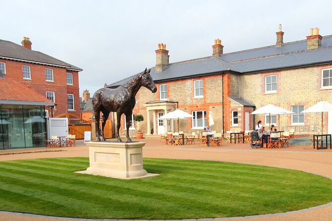 Guided Half Day Behind the Scenes Newmarket Tour - Meet Resident Stallions and Retired Legends