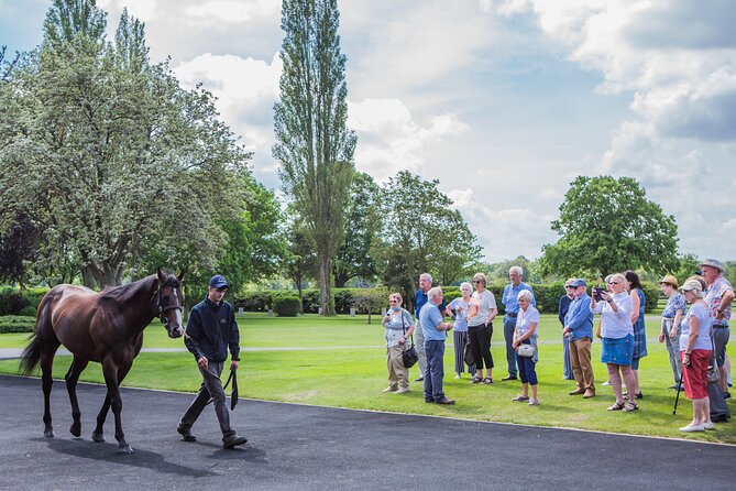 Guided Half Day Behind the Scenes Newmarket Tour - Exceptional Customer Reviews