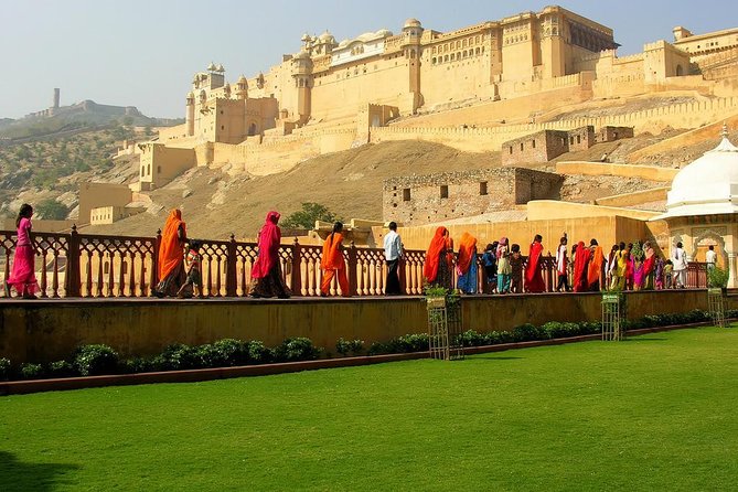 Guided Half Day Jaipur City Tour With Leopard Safari & Dinner - Jaipur City Tour Overview