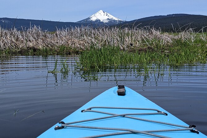 Guided Half-Day Kayak Tour - Inclusions