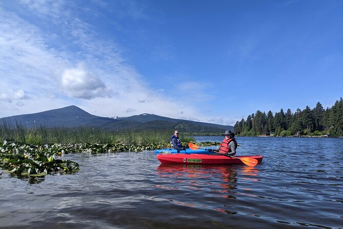 Guided Half-Day Kayak Tour - Frequently Asked Questions