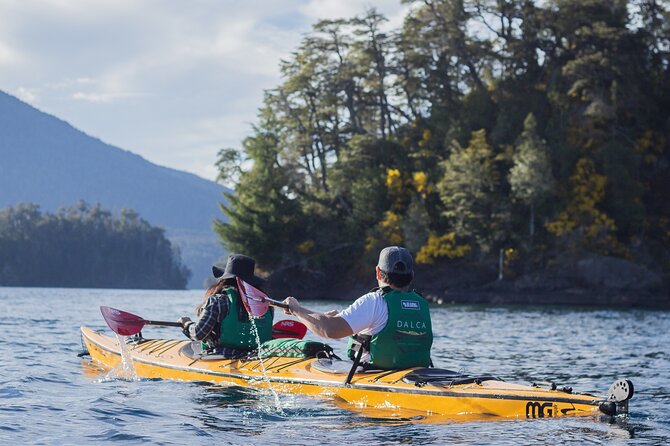 Guided Half Day Kayak Tour With Picnic in Villa La Angostura - Inclusions
