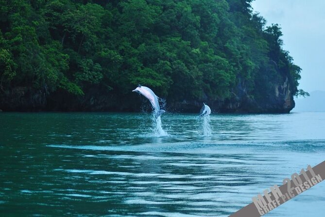 Guided Half Day Mangrove Safari Tour Review - Accessibility and Participation